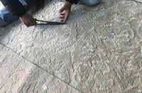 2: Shearing